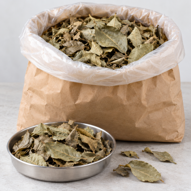 Bulk Dried Combretum Leaves, Jambakatan from Senegal