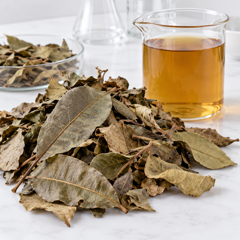Dried Combretum Leaves and Amber Infusion, Jambakatan from Senegal