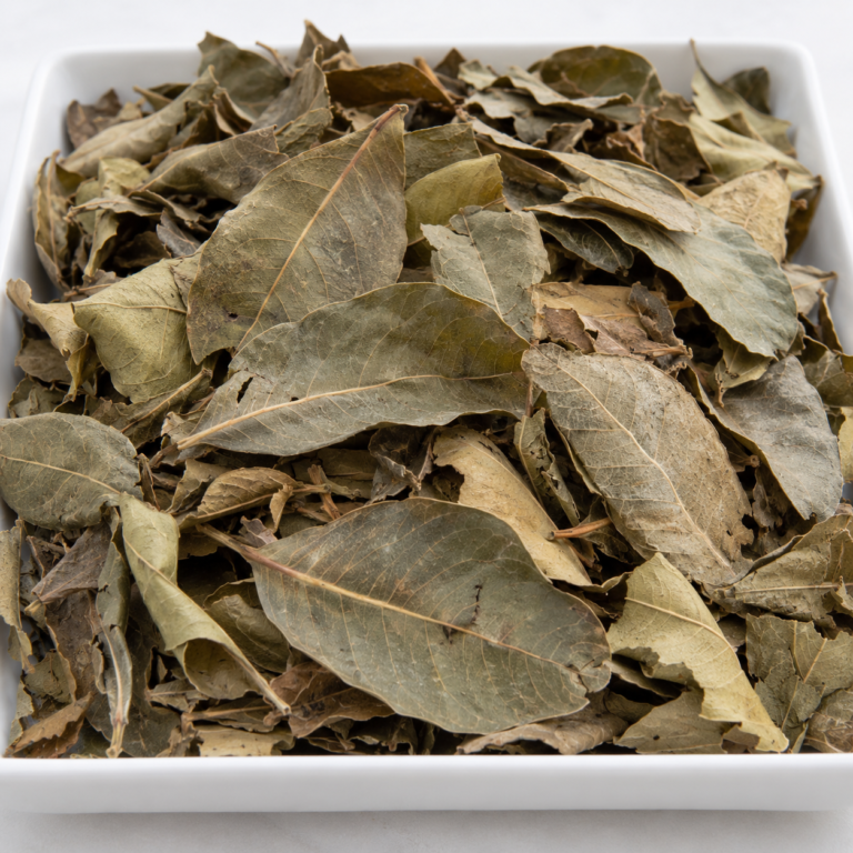 Dried Combretum Leaves in Sample Tray, Jambakatan from Senegal