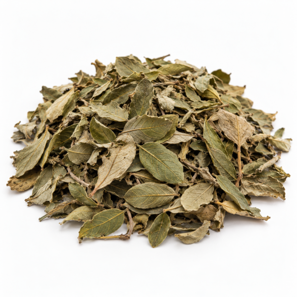 Kinkeliba (Sehhaw), wholesale from Senegal