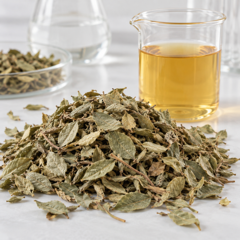 Dried Guiera Leaves and Amber Infusion, Guiera (Nger) from Senegal