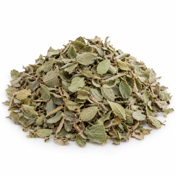 Guiera (Nger), wholesale from Senegal