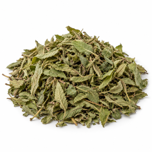 Savanna Mint, wholesale from Senegal