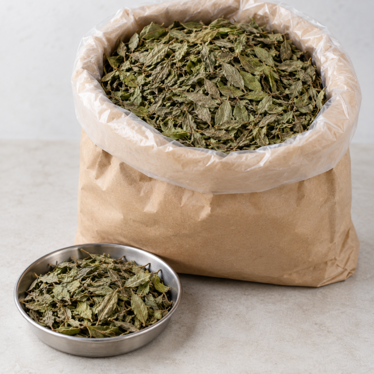 Dried Lippia Leaves in Kraft Sack, Savanna Mint (Thé de Gambie) from Senegal