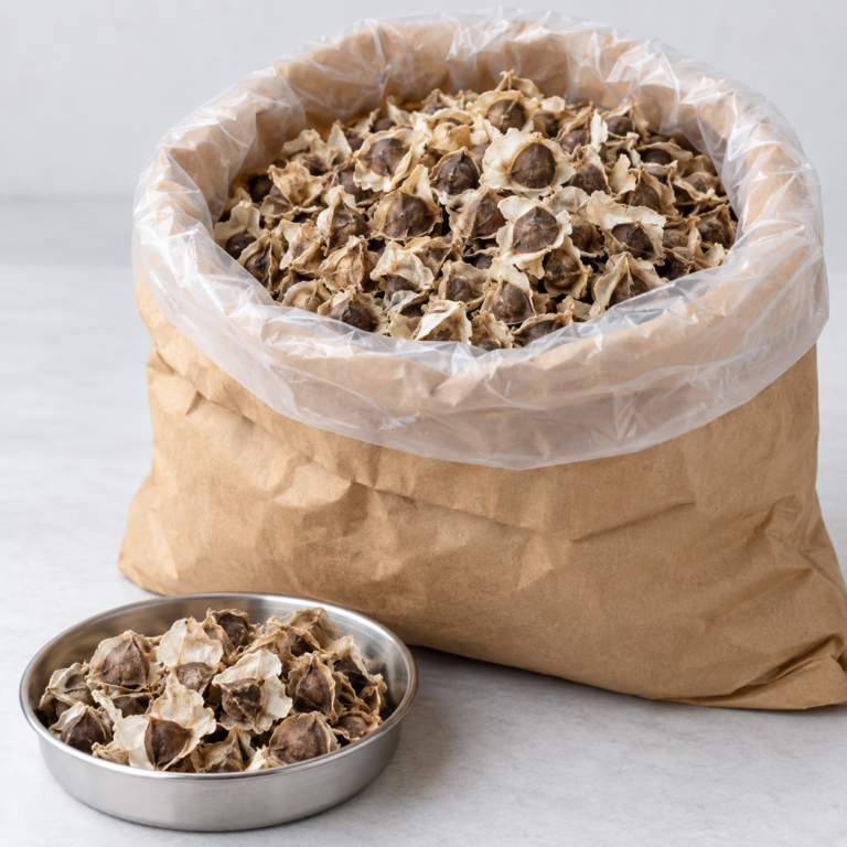 Dried Moringa Seeds in Kraft Sack, Moringa Seeds from Senegal