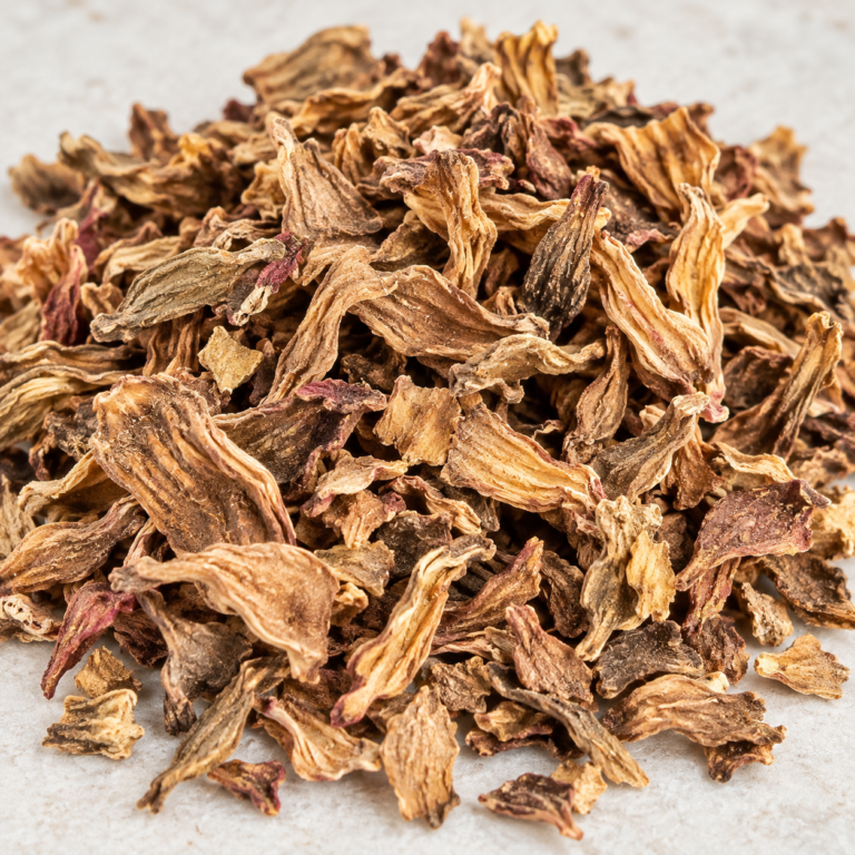 Close-up of dried white hibiscus calyces