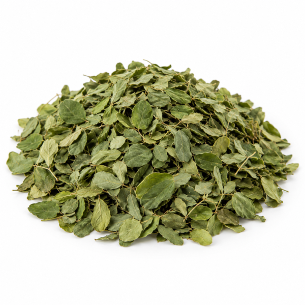 Moringa Leaf, wholesale from Senegal