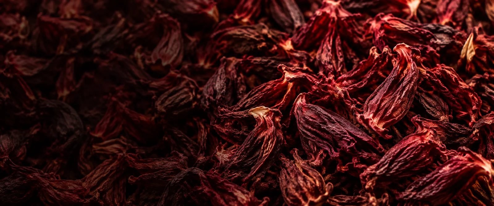 Moody Crimson Hibiscus Calyces-1